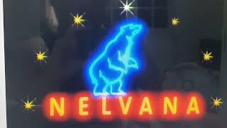 Nelvana Limited and Paramount Pictures (1993)