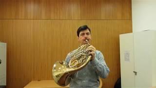 Cadenza Mozart: Horn Concerto No. 4 Miklós Nagy