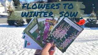 Flower Seeds for Winter Sowing - What I’m Winter Sowing in 2022