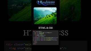 Create Image Hover Effect with HTML and CSS