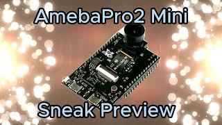 AMB82 Mini Sneak Preview: Load NN Model via SD Card