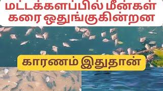 பருவ கால நீரோட்டத்தில் ஏற்படும் மாற்றத்தின் விளைவும் காலநிலை மாற்றத்தின் தாக்கமும்