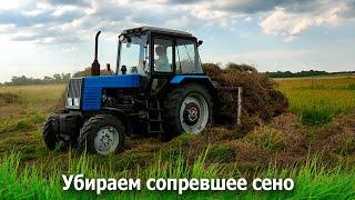 Убираем сопревшее сено