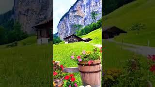 || MrNature || Relaxing nature short video || 4k || #nature #trending #beautiful