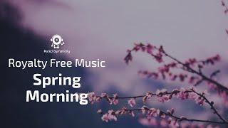 Spring Morning by Muted Symphony - Emotional Music for the spirit in this troubled times.