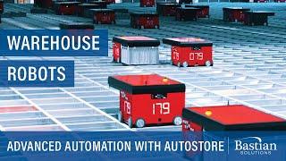 Advanced Automation with AutoStore Warehouse Robots