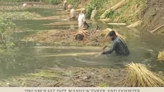 AMAZING JUTE PROCESSING