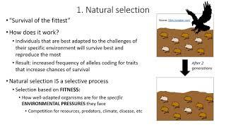 Microevolutionary processes - 2022 version