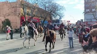 194 Aniversario de La Jura de la Constitución de Uruguay.  Video Resumen