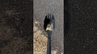 Of course a spork #environmentalcleanup #metaldetecing