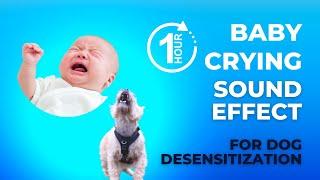 Baby Crying Sound Effect for Dog Training | Desensitize Your Dog to Baby Sounds | 1 Hour