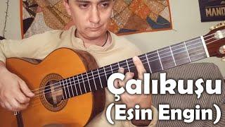 Çalıkuşu guitar cover / Score, tab