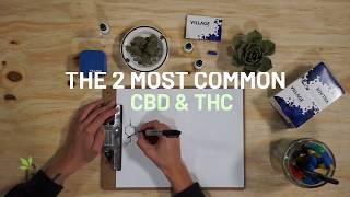 Smart Stoner | What's The Difference Between CBD & THC?