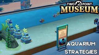 Two Point Museum Strategy & Tactics: The Best Aquarium Size REVEALED!