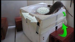 The Best Mouse Trap Scale,  How to Use Bamboo For Weighing Make the  Mouse / Rat Trap 2019