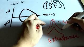 Flow volume loop explained with mnemonics