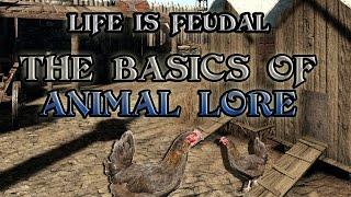 Life is Feudal | Basics of Animal Lore | Coops, Barns and Stables