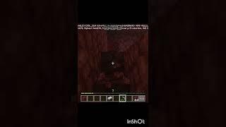 Minecraft Nether️#shorts#viral#minecraft#gaming#Monkey Gamer YT