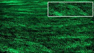 Adobe illustrator Grass field Tutorial