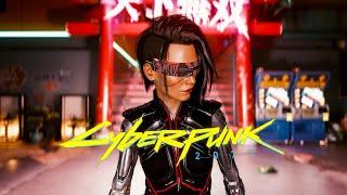 Cyberpunk 2077 - Gunslinger Shadowrunner + Build