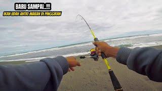 Ganass...‼️Baru sampe spot mancing di pantai,Ikan antri nunggu umpan saya