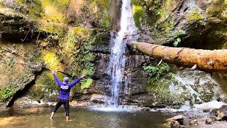 Maple Falls Near Aptos California - The Forest Of Nisene Marks State Park