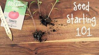 How-To Start Seeds for a Vegetable Garden | IN BETH'S GARDEN