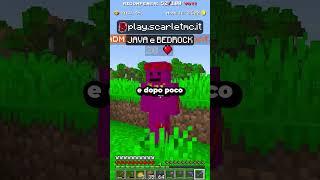 Mi FINGO un NABBO sul MIO SERVER MINECRAFT 