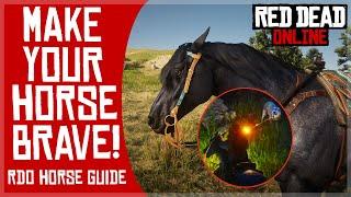 Make Your Horse BRAVE!⭐ RDO Horse guide FAQ