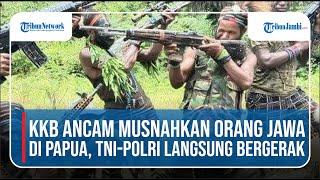 Viral KKB Ancam Musnahkan Orang Jawa dan Militer di Papua, TNI Polri Langsung Bergerak