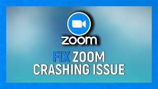 How To Fix Zoom Crashing on Windows