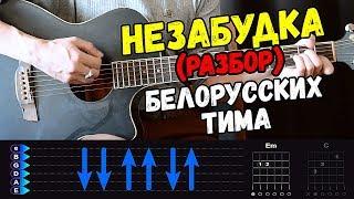 Тима Белорусских - Незабудка на гитаре  ЛЕГКИЙ разбор от Гитар Ван, аккорды