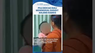 Nasib Pilu Bocah 5 Tahun di Bali Meninggal Digigit Anjing Peliharaannya, Sempat Berontak Takut Air