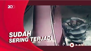 Pria Lecehkan Jemaah Wanita Saat Salat di Masjid Wajo