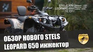 Обзор нового Стелс Леопард 650YL EFI (инжектор)