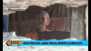 Hidup Prihatin, Seorang Nenek Tinggal Sebatang Kara di Gubuk Kayu