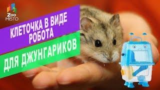 Клетка в виде робота для джунгариков  | ОБЗОР клетки в виде робота для джунгариков