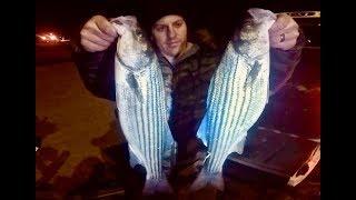 Striped Bass FEEDING FRENZY while FISHING DOCK LIGHTS ft. How to fish dock lights