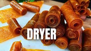 Fruit Pulp & Fruit Leather Dryer