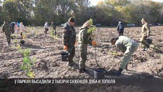 Председатель Правительства Розенберг: «Всегда нужно высаживать деревья»