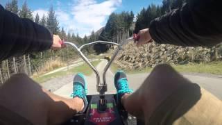 The Luge Queenstown