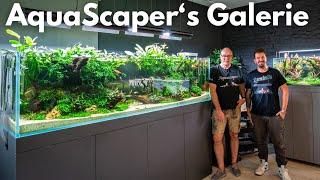 Schöne Aquarium Galerie in Deutschland! AquaScaper‘s Galerie | Liquid Nature on Tour