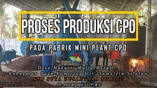 Miniplant (Pabrik Kelapa Sawit PKS Mini) CPO Kapasitas 500 kg Brondol