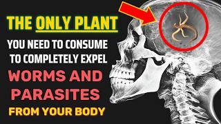 Only 2 Spoons... Expels All Worms and Parasites from Your Body