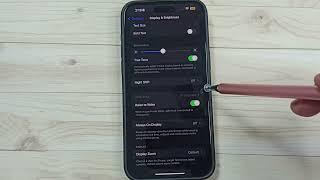 iPhone 16/16 Pro Max | How to Fix Problem Auto Lock Timeout Disabled on Your iPhone