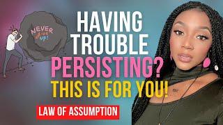 How to PERSIST | Law of Assumption