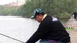 Ловля плотвы и карася фидером в мегаполисе. Мастер-класс 261HD. Feeder fishing in the city