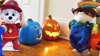 Paw Patrol Baby Pup Halloween Toy Learning Video for Kids!