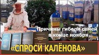 «Погибли семьи сейчас, в конце ноября. В чем причина?» — Программа «Спроси Калёнова».