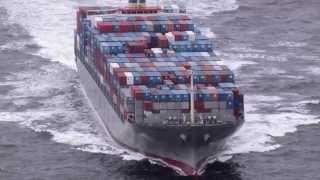 Preventing Moisture Damage in Containerized Cargo